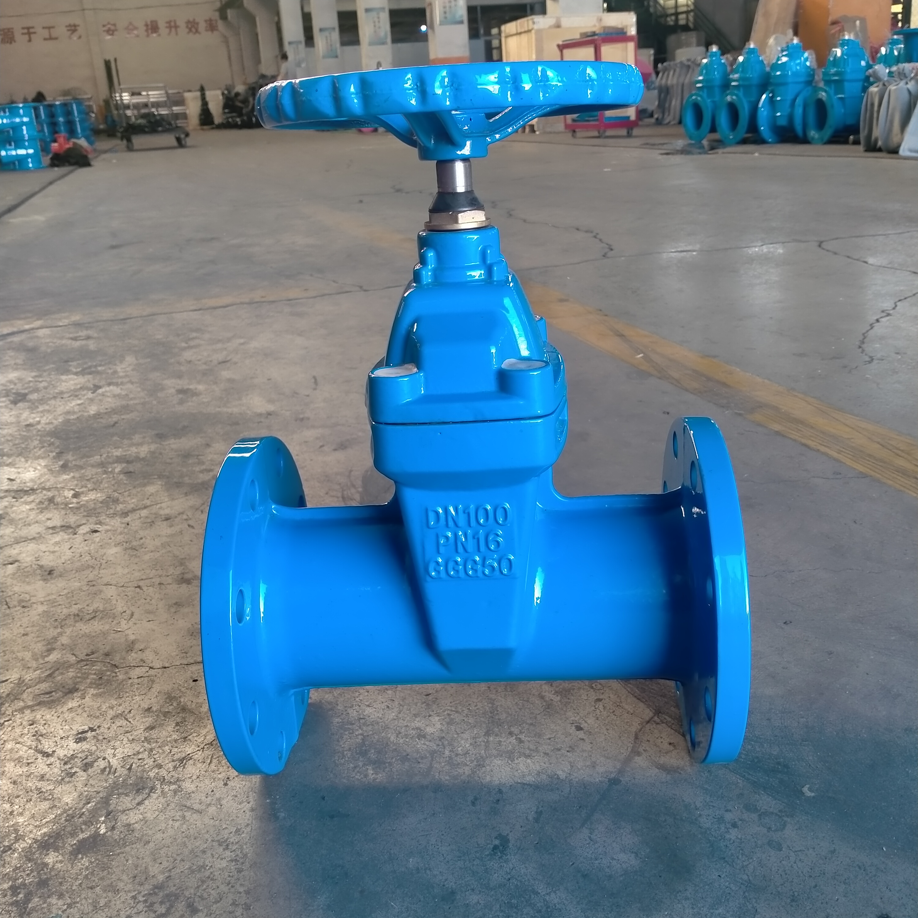 Blue flanged gate valve front view