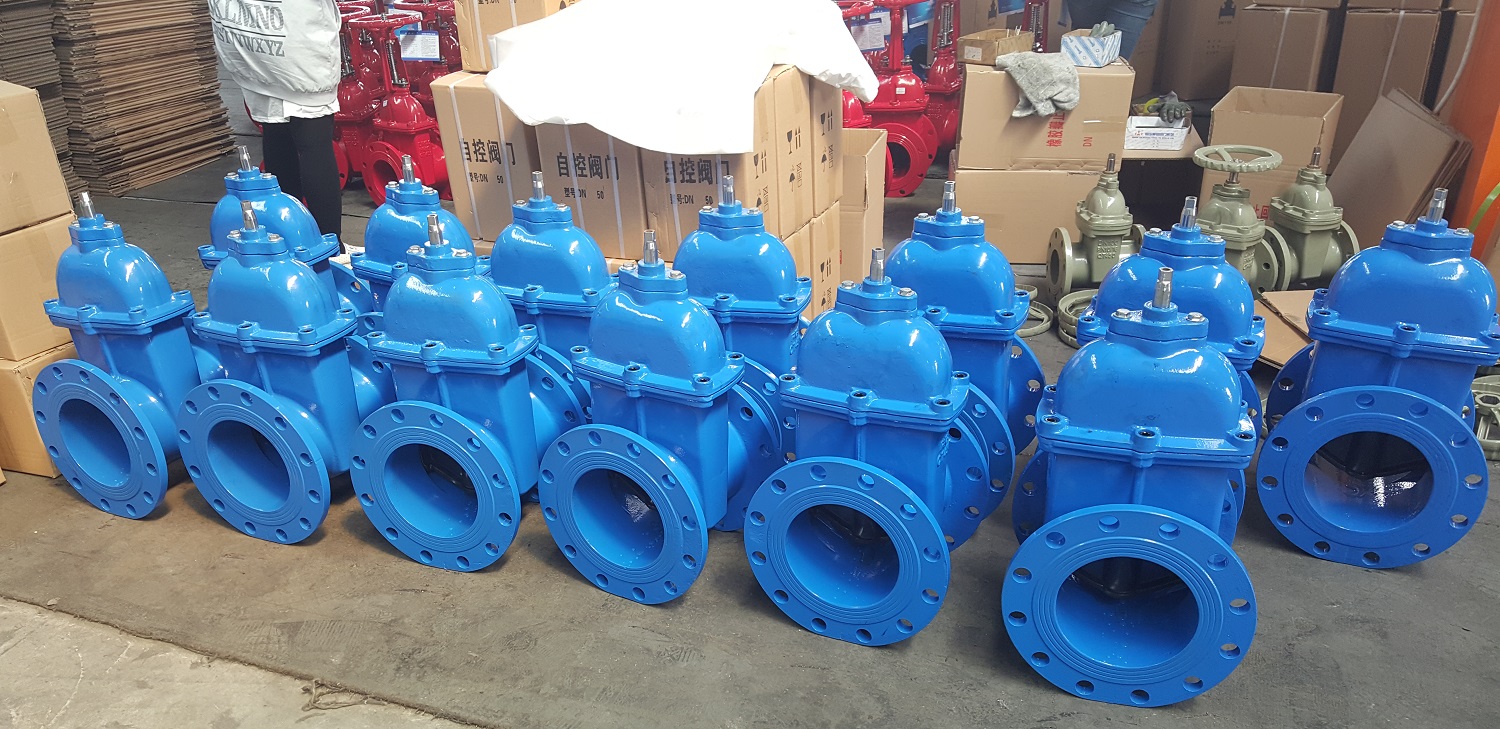 Blue coated ductile iron gate valves