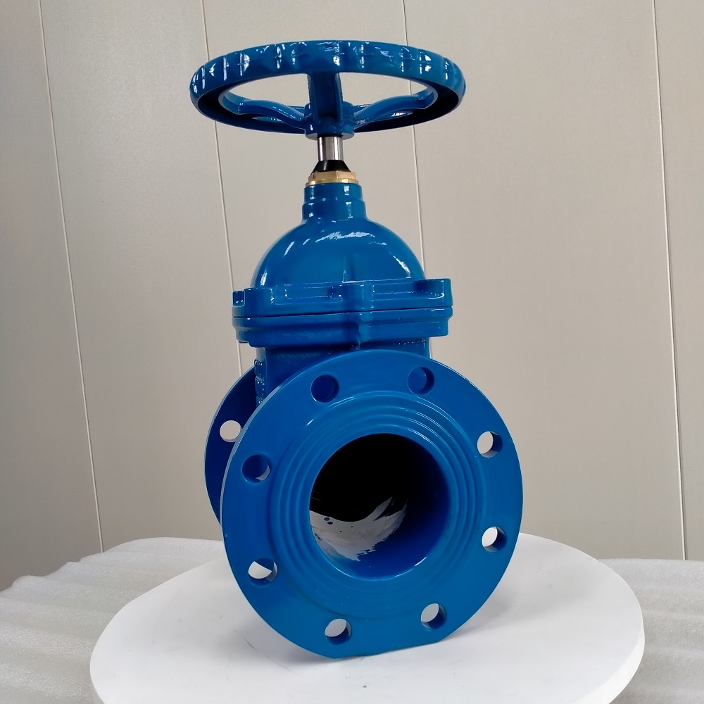 Blue resilient seat gate valve front opening